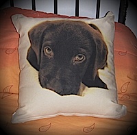 cane